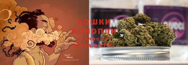 тгк Вяземский