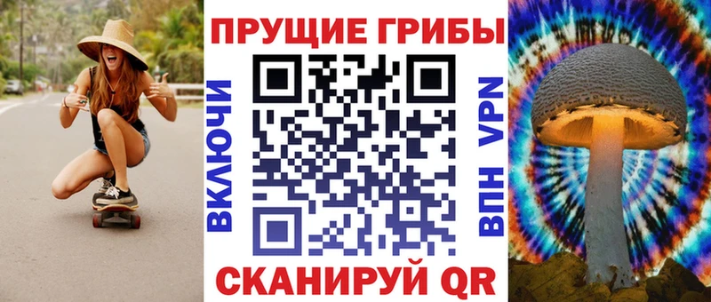 купить наркотики цена Печоры Псилоцибиновые грибы Cubensis